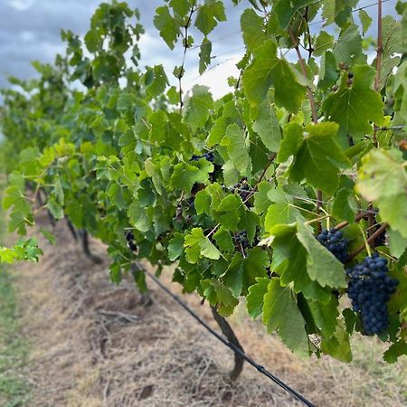 Bracken Ridge Vineyard The Entire Estate Rothbury Экстерьер фото