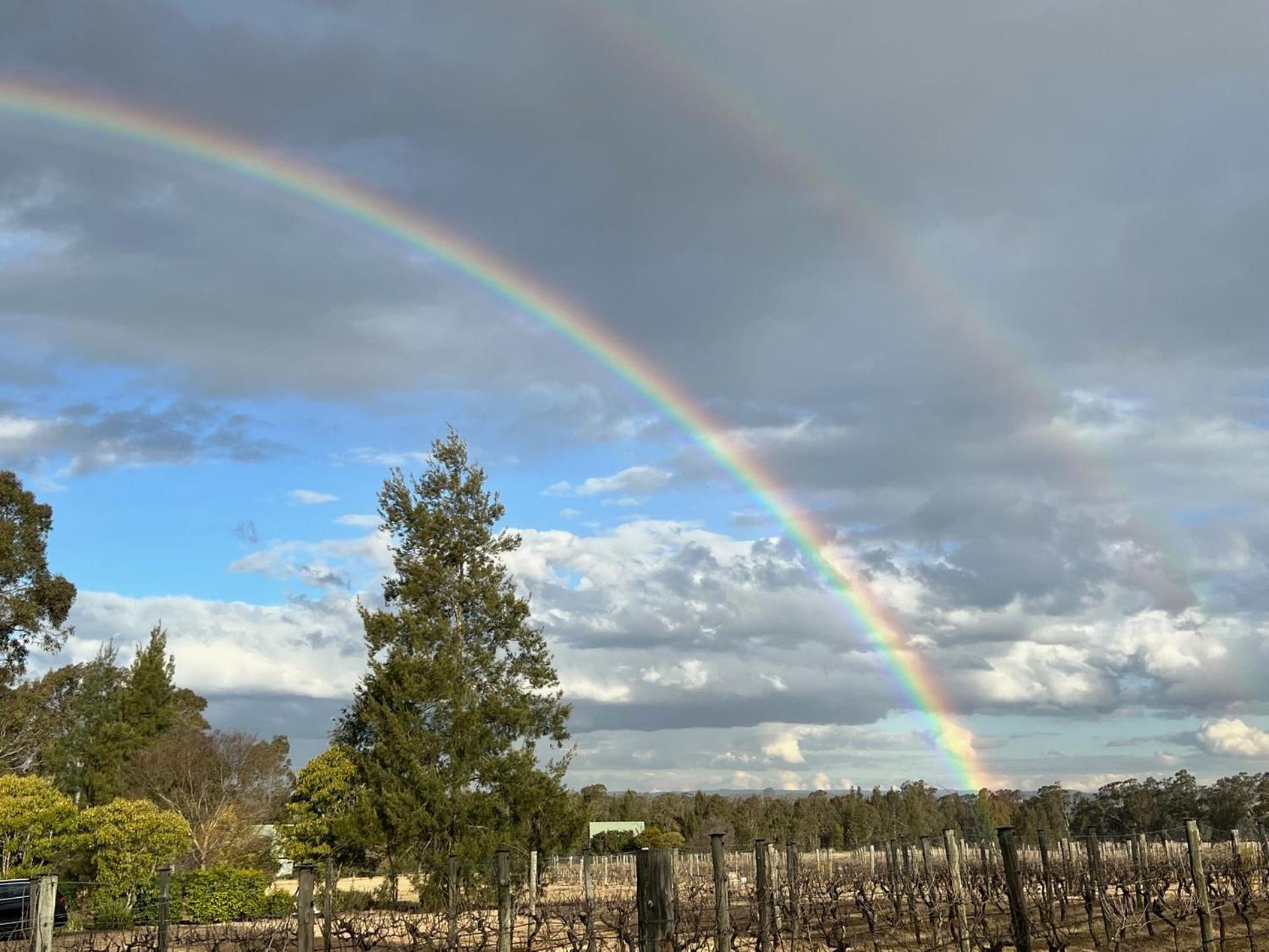 Bracken Ridge Vineyard The Entire Estate Rothbury Экстерьер фото