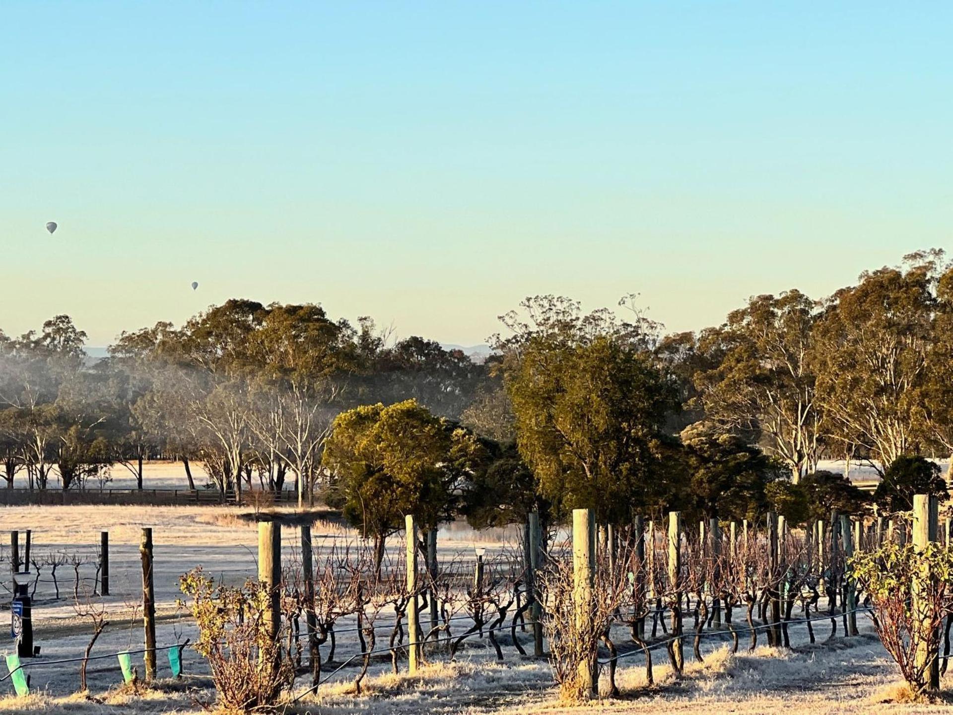 Bracken Ridge Vineyard The Entire Estate Rothbury Экстерьер фото